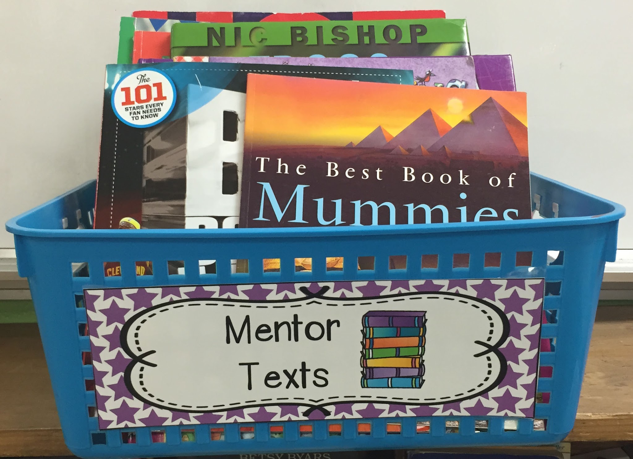 This post has some great mentor texts for introducing text features to your students.