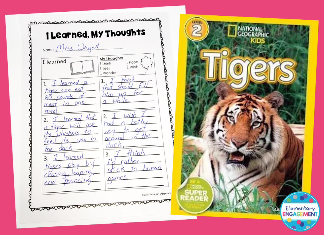 Tigers is a great nonfiction mentor text for thinking about reading.