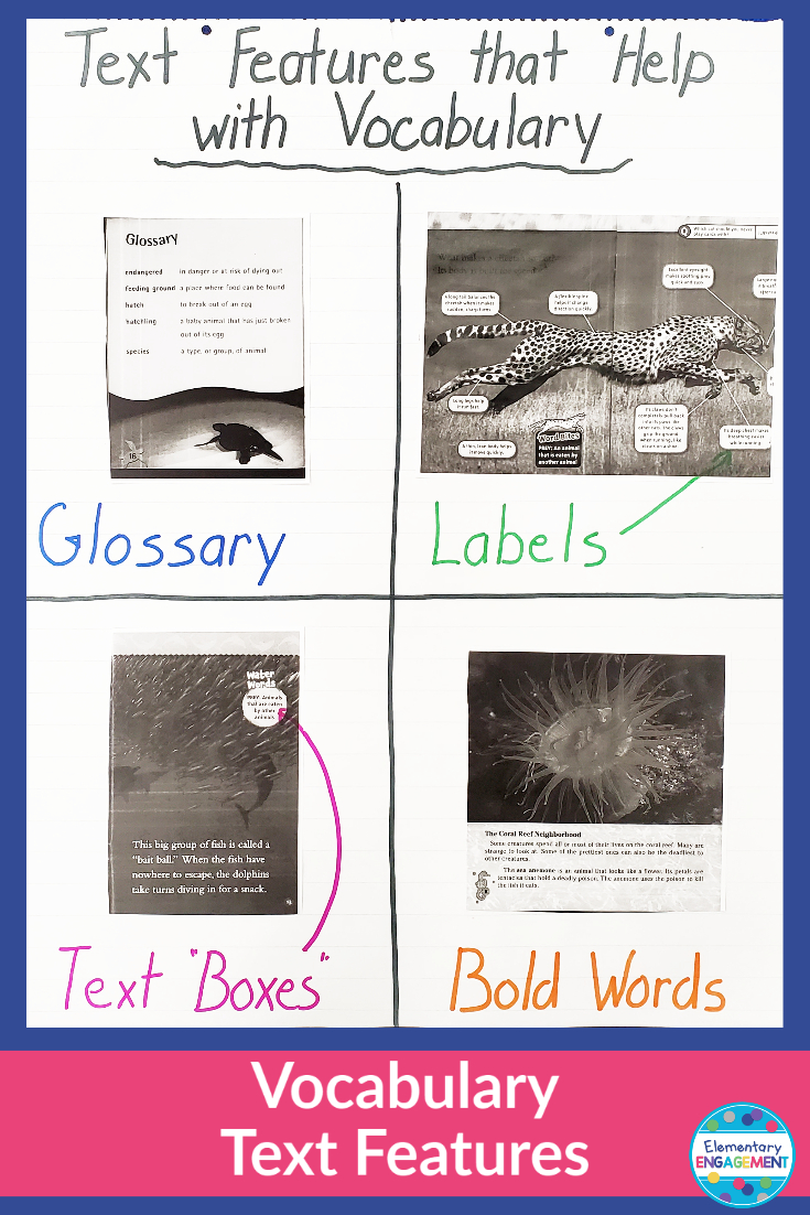 Organizing text features into categories with real examples allows students to see the purpose and better understand them when encountered in their own reading.