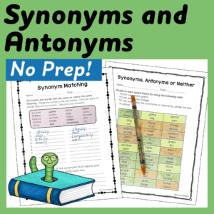 Synonym and Antonym printable and digital activities